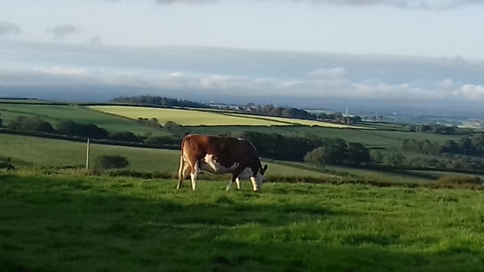 Stunning views from the farm