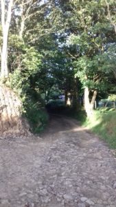 The driveway entrance to the campsite